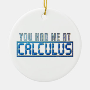 Math Nerd Gag du hade mig i Calculus Julgransprydnad Keramik