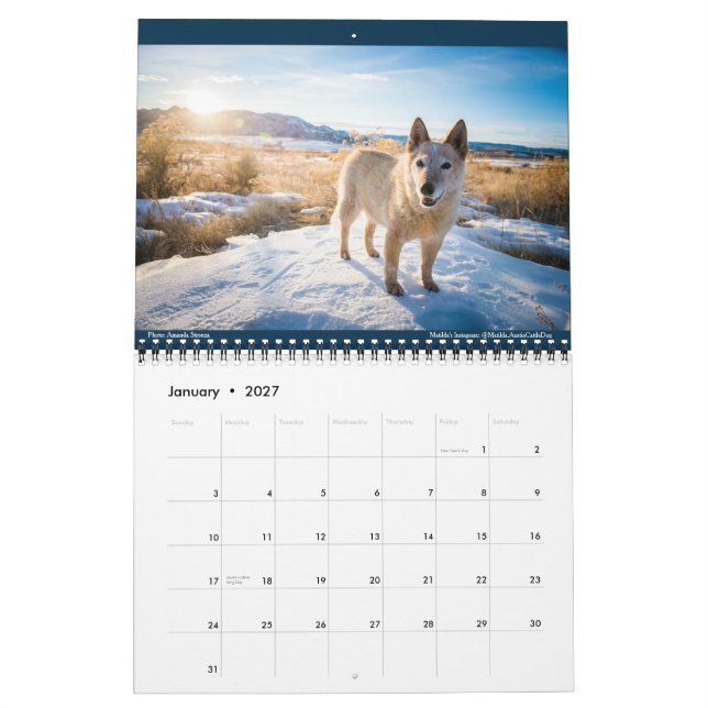 Matilda, Kärlek och Light 2021 Kalender (Jan 2027)
