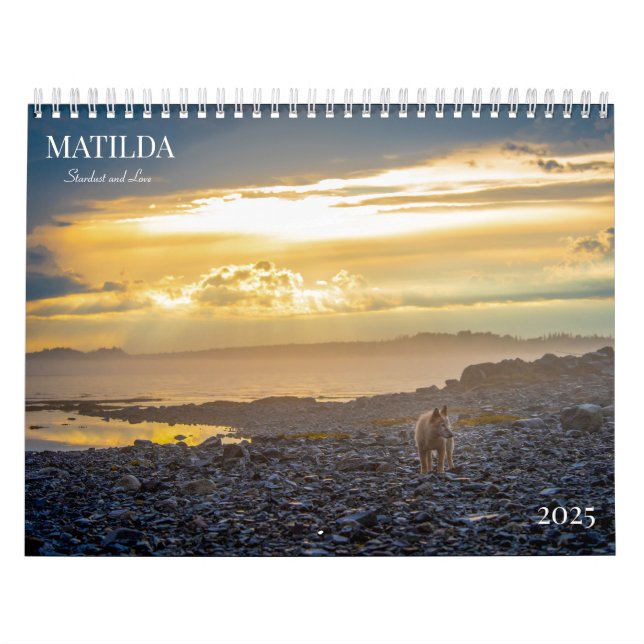 Matilda Stardust och Kärlek 2025 Calendar Kalender (Omslag)