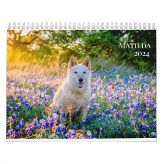 Matildas kalender för 2024