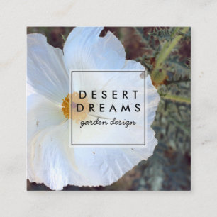 Matilija Poppy Desert Wildblomfoto Travel Fyrkantigt Visitkort