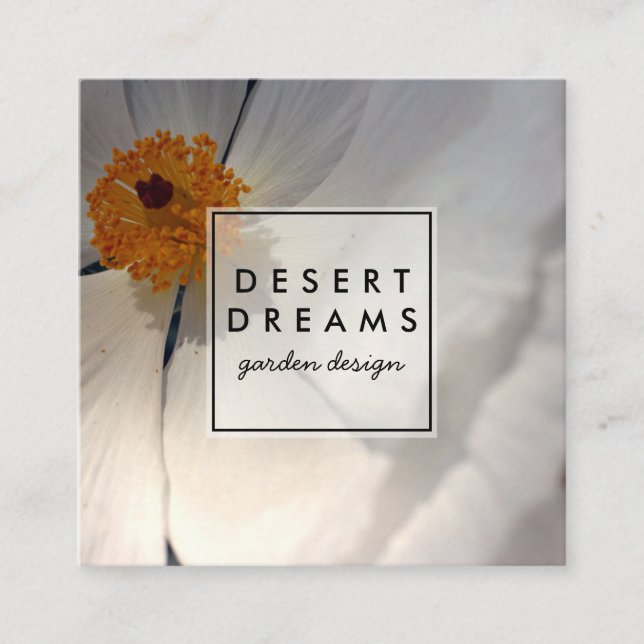 Matilija Poppy Desert Wildblomfoto Travel Fyrkantigt Visitkort (Framsida)