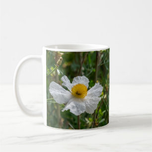 Matilija Poppy Mugg