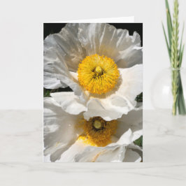 Matilija Poppy Note Card<Blank Inside> Inbjudan