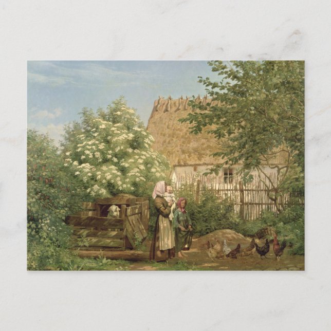 Matning av kycklingar vykort (Framsida)