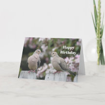 Matning Doves Foto Birthday