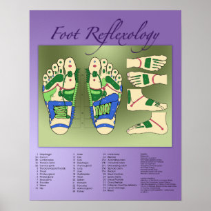 Matningsdiagram för fotlexiologi poster