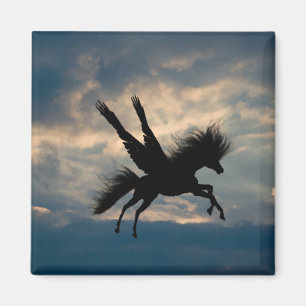 Matningsflygets magnet