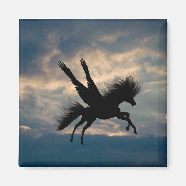 Matningsflygets magnet (Framsidan)