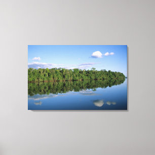 Mato Grosso delstat, Amazonas, Brasilien. Skog Canvastryck
