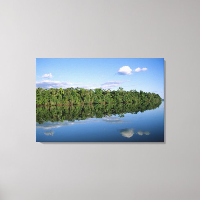 Mato Grosso delstat, Amazonas, Brasilien. Skog Canvastryck (Framsida)