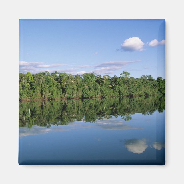 Mato Grosso State, Amazon, Brasilien. Utplanterad Magnet (Framsidan)
