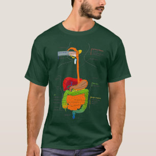 Matsmältningsorgan Medicinskt diagram T Shirt