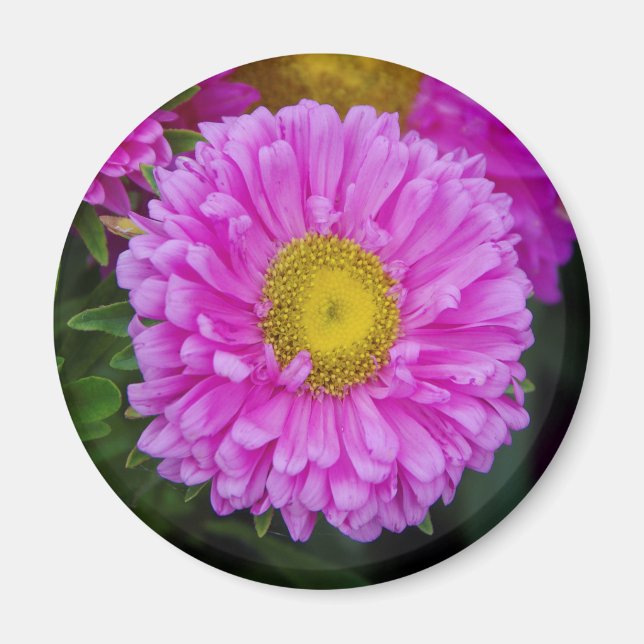 Matsumoto Flower magnet (Framsidan)