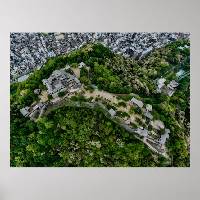 Matsuyama Castle från ovan Poster (Framsidan)