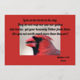 Matt 6: 26 kardinalhälsningskort kort
