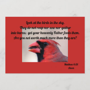 Matt 6: 26 kardinalhälsningskort kort