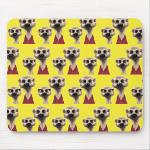 Matt Meerkat mus Musmatta