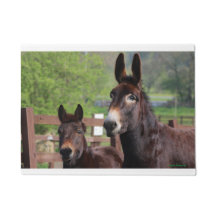 Matt muffin- & Cocodörr