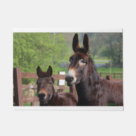 Matt muffin- & Cocodörr