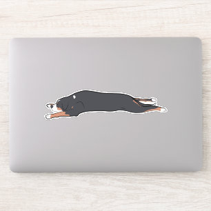 Matta Swissy Sticker Klistermärken