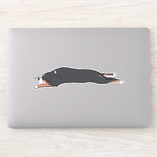 Matta Swissy Sticker Klistermärken