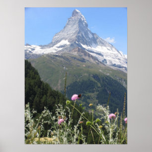 Matterhorn Mountain-foto Poster