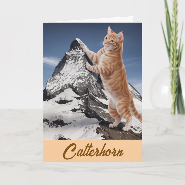 Matterhorn Tabby Kort (Framsida)
