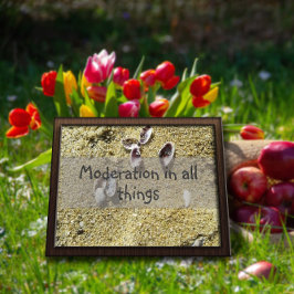 Måttfullhet i all klokhet i sak som säger poster