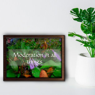 Måttfullhet i all klokhet i sak som säger poster