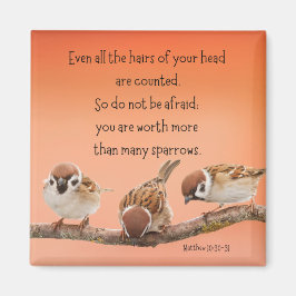 Matthew 10:30-31 2-tums Magnet