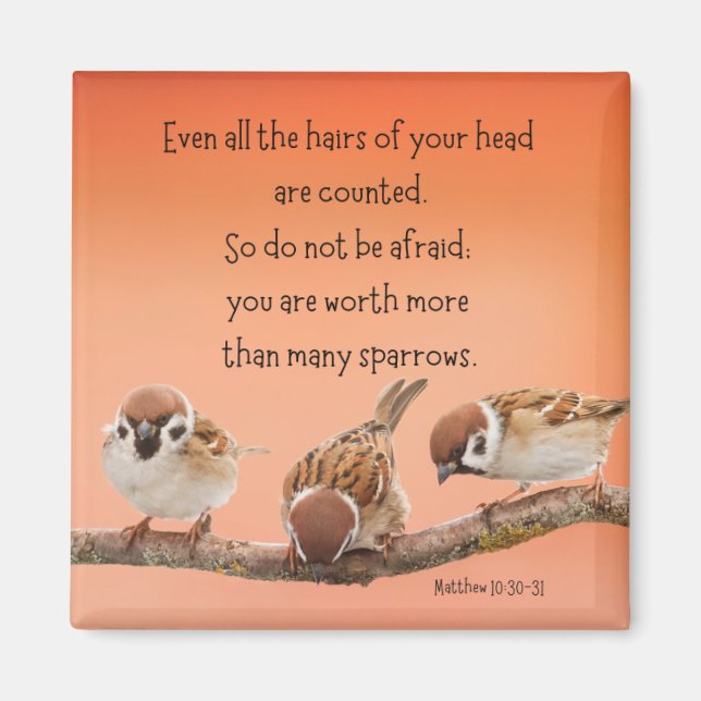 Matthew 10:30-31 2-tums Magnet (Framsidan)