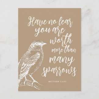 Matthew 10:31 JW Encouragement Postcard Vykort