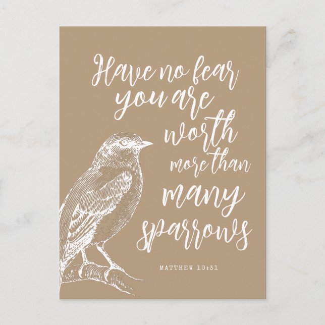 Matthew 10:31 JW Encouragement Postcard Vykort (Framsida)