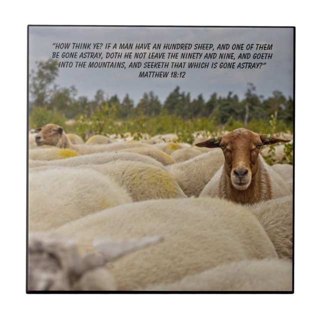 Matthew 18:12 kakelplatta (Framsidan)