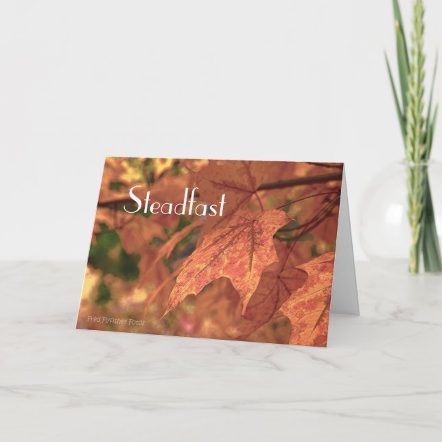 Matthew 24:35 kort (Framsida)