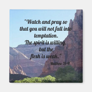 Matthew 26:41 magnet