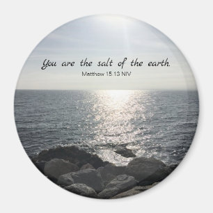 Matthew 5:13 Du är Jorden Magnet