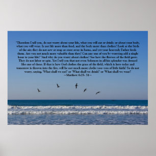 Matthew 6:25-31 Poster