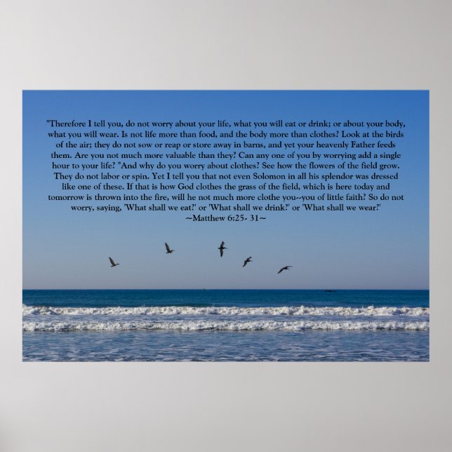 Matthew 6:25-31 Poster (Framsidan)