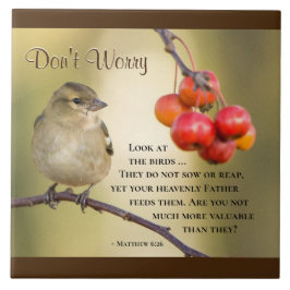 Matthew 6:26 Bible Verse, oroa dig inte Kakelplatta