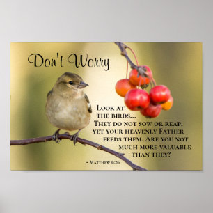 Matthew 6:26 Bible Verse, oroa dig inte Poster