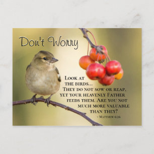 Matthew 6:26 Bible Verse, oroa dig inte Vykort