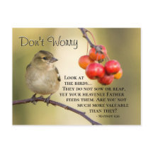 Matthew 6:26 Bible Verse, oroa dig inte