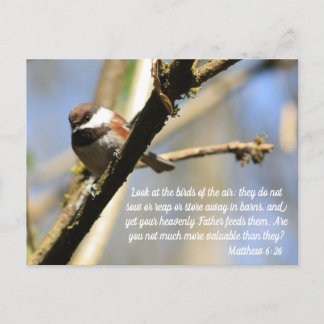 Matthew 6:26 Birds Scripture Vykort