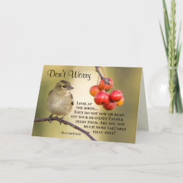 Matthew 6:26 Fåglarna har inte sått eller skördat  Kort