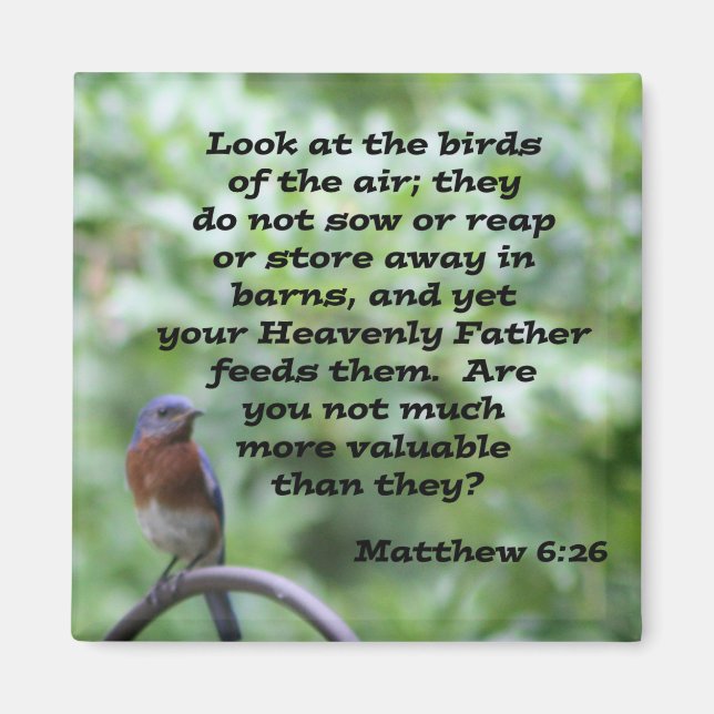 Matthew 6:26 magnet (Framsidan)