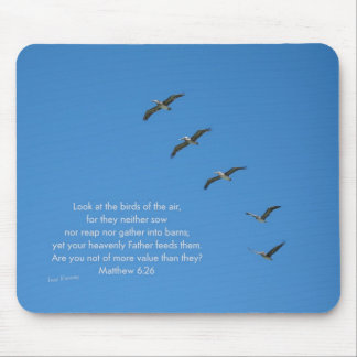 Matthew 6:26 musmatta