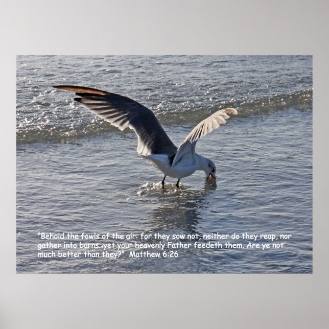 Matthew 6:26 Poster skript (Framsidan)