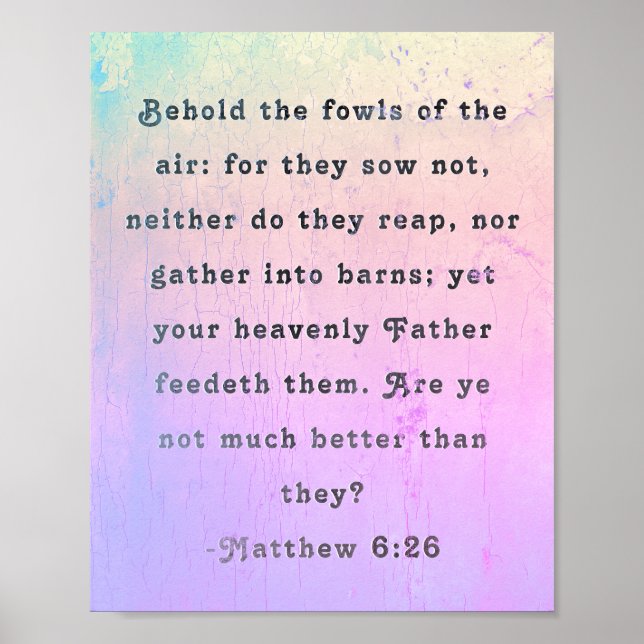 Matthew 6:26 Poster skript (Framsidan)